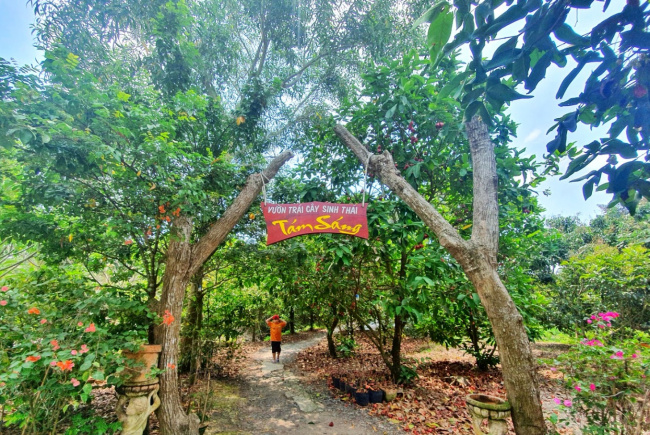 Vườn Trái Cây Tám Sáng – Khu du lịch sinh thái hấp dẫn ở Đồng Tháp