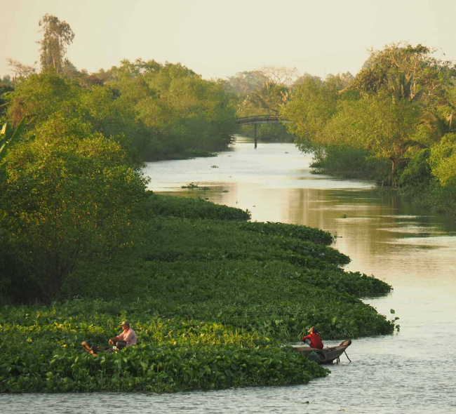 Trải nghiệm sông nước miệt vườn ở Cù Lao An Bình – Vĩnh Long