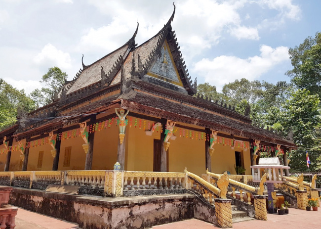 Ngắm cây sao di sản trong chùa Ba Phố ở Vĩnh Long
