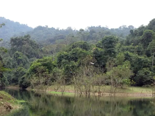 amazon, trải nghiệm lý thú tại khu bảo tồn thiên nhiên kẻ gỗ