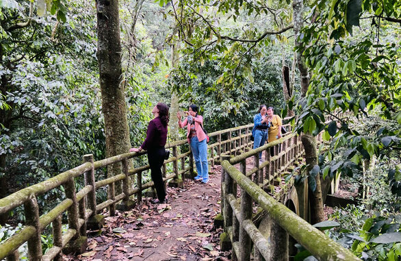 On holiday, come back to Cuc Phuong to check in butterfly season