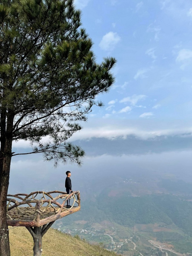 ecotourism destinations, pu nhi hill, tourist attractions in son la, pu nhi hill tourist area is as beautiful as da lat, all four directions and eight directions have “top” shooting angles.
