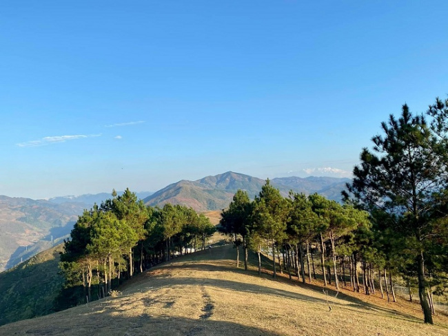 ecotourism destinations, pu nhi hill, tourist attractions in son la, pu nhi hill tourist area is as beautiful as da lat, all four directions and eight directions have “top” shooting angles.