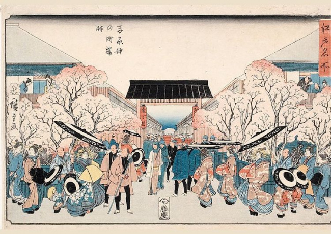 ý nghĩa và giá trị biểu tượng của hoa anh đào sakura
