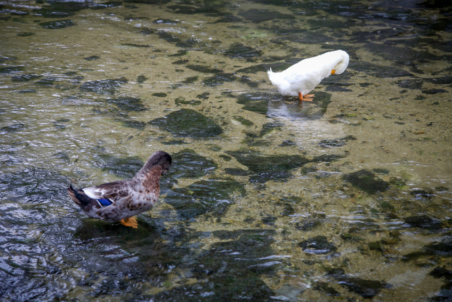 thanh khê xuyên (cheonggyecheon) – linh hồn thủ đô seoul