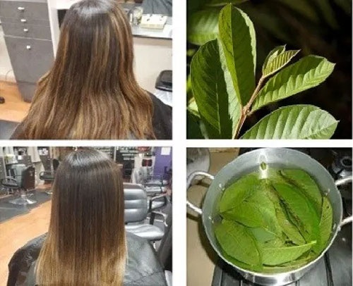 trị rụng tóc từ thiên nhiên, trị rụng tóc, phương pháp trị rụng tóc từ thiên nhiên