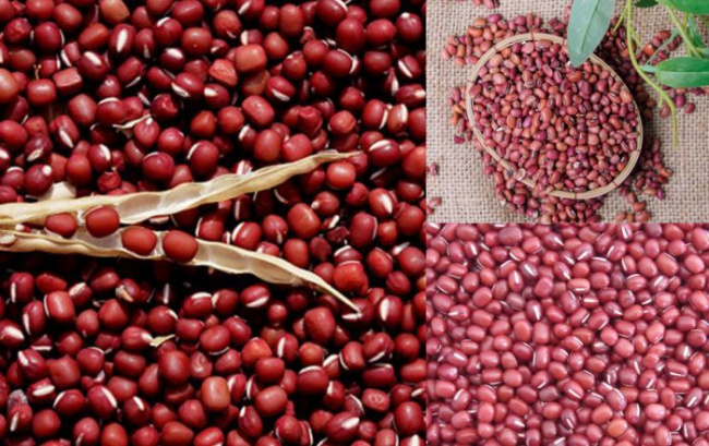 đậu đỏ, các loại hạt, đậu đỏ có tác dụng gì với sức khỏe con người ?