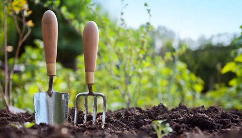 trộn giá thể trồng rau, cách trộn đất trồng rau sạch, mách bạn cách trộn đất trồng rau sạch đảm bảo thành công