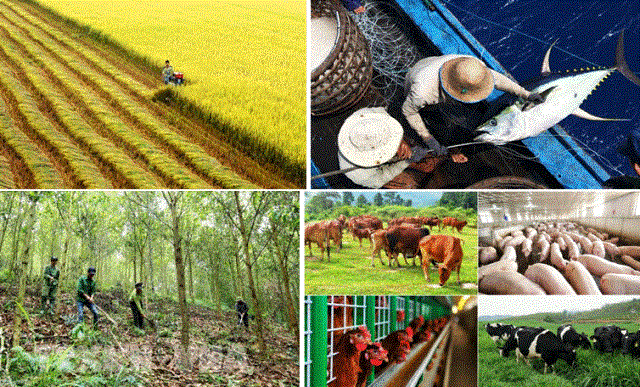 4 điều cần biết về nghề làm nông nghiệp