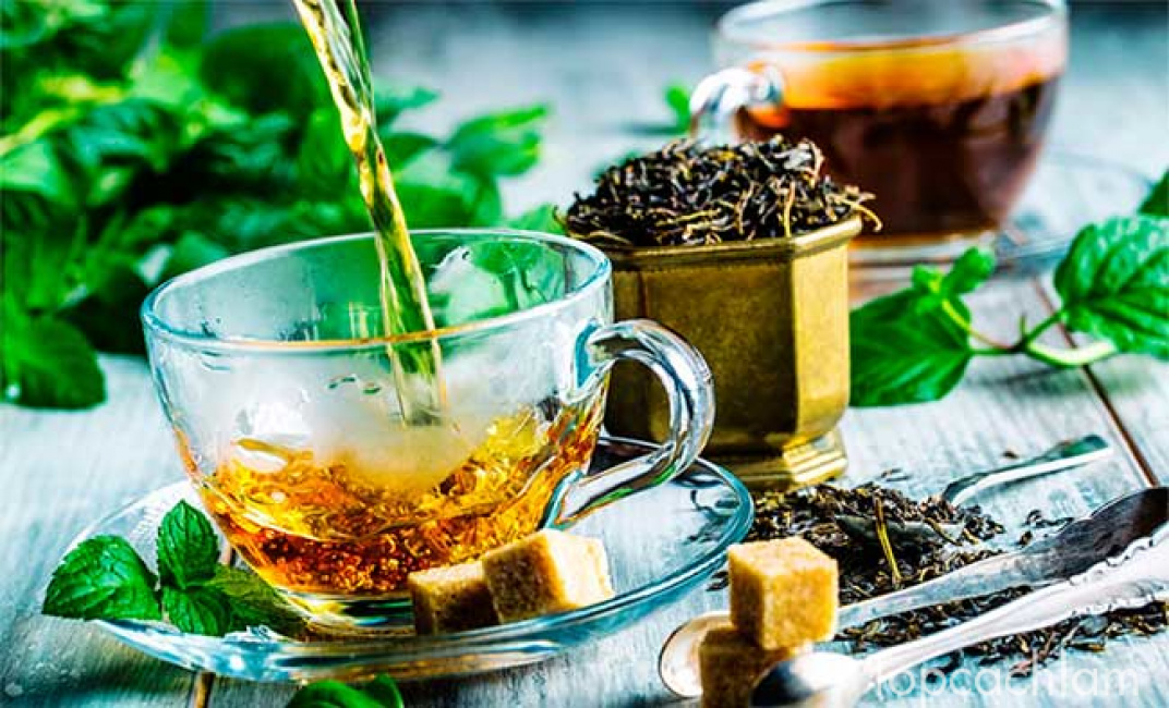 lợi ích của việc uống trà, các loại trà, những lợi ích của việc uống trà có thể bạn chưa biết