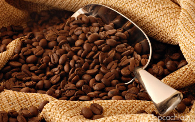 hạt cà phê, các loại hạt, cà phê, những loại hạt cà phê tươi nổi tiếng, hương vị thơm ngon