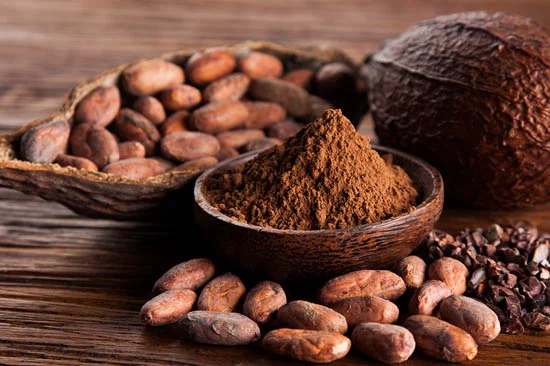Khám phá những lợi ích của hạt cacao - ALONGWALKER