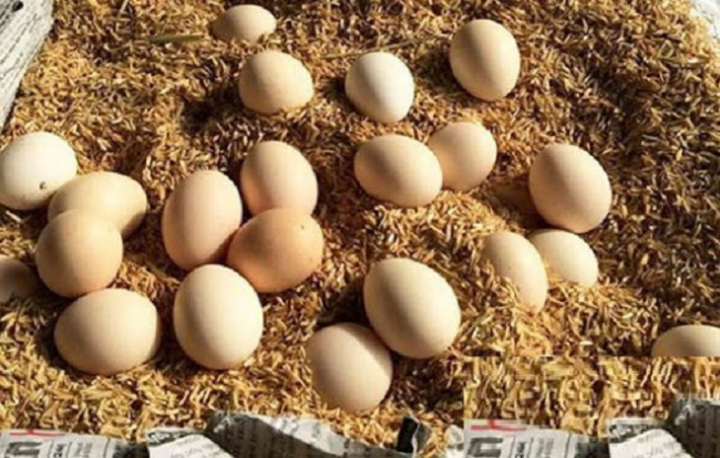 Cách bảo quản trứng gà đúng cách để cả tháng không hỏng