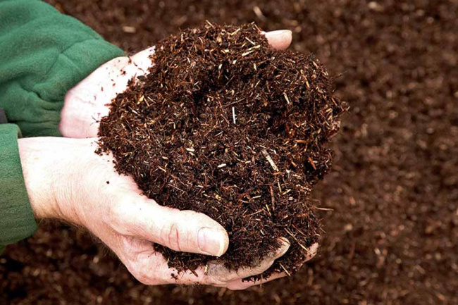Cách sử dụng đất tribat để trồng rau hiệu quả nhất