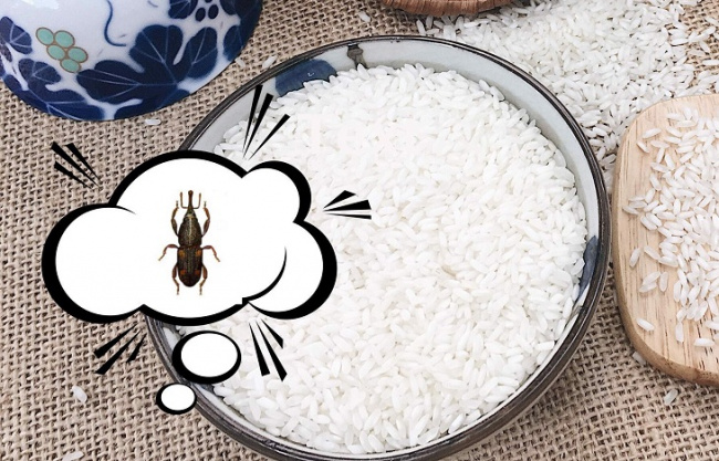 gạo bị mọt có ăn được không, cách bảo quản gạo, gạo bị mọt có ăn được không và cách xử lý