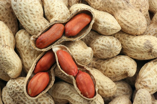 lạc ăn sống được không, hạt lạc, đậu phộng, các loại hạt, tại sao nên bổ sung hạt lạc vào chế độ ăn thường xuyên