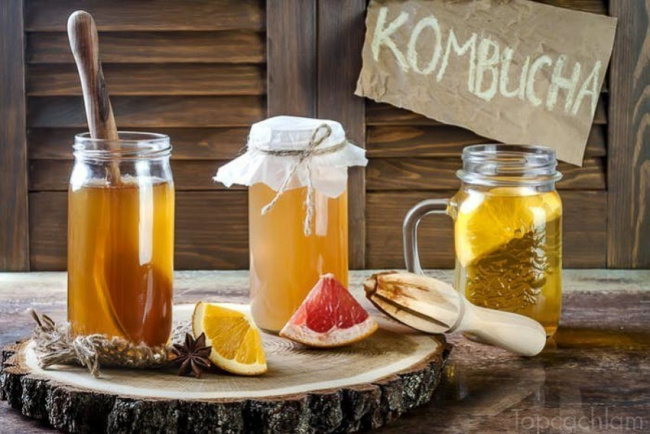 trà kombucha, các loại trà, tìm hiểu về loại trà kombucha