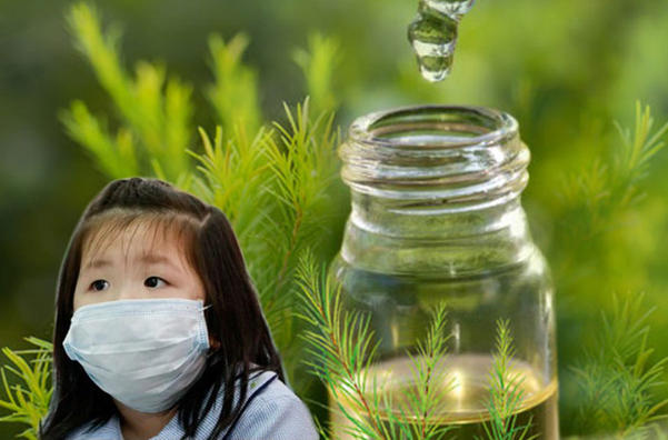 Tinh dầu khử khuẩn từ thiên nhiên an toàn cho cả gia đình bạn