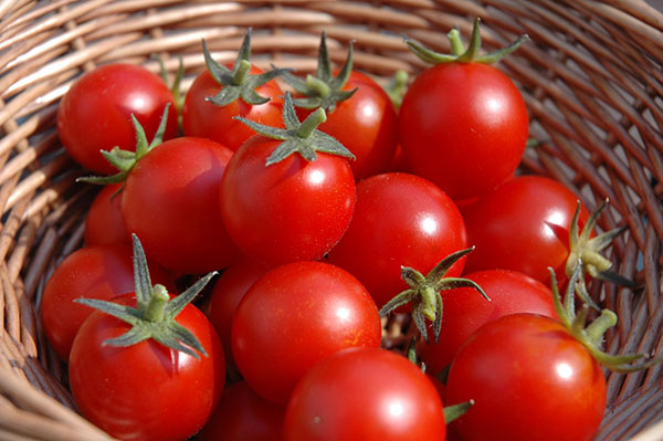 Cách bảo quản cà chua tươi lâu giữ được hương vị thơm ngon