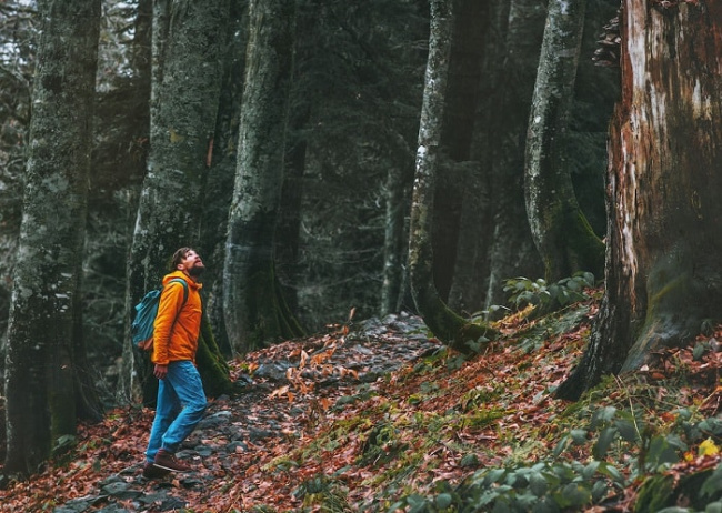 8 kỹ năng sinh tồn cần biết khi bị lạc trong rừng