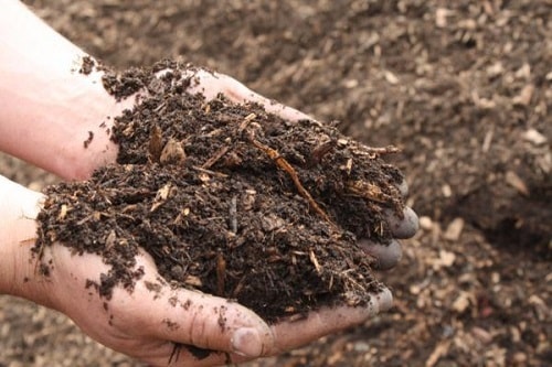 đất chua, cải tạo đất chua, cải tạo đất, 1 số nguyên nhân và cách cải tạo đất chua bạn cần biết