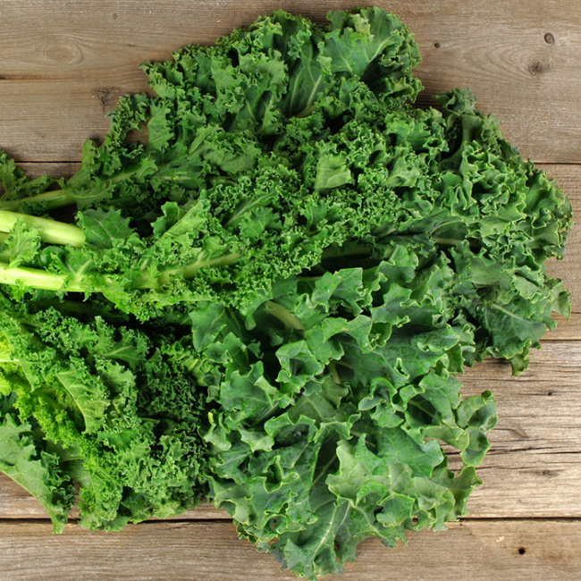 Tìm hiểu về cách gieo trồng hạt giống rau cải kale