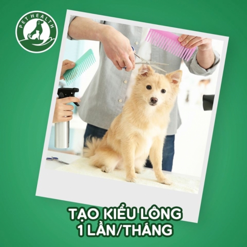 9 Dịch vụ cắt tỉa lông thú cưng uy tín nhất tại tỉnh Thanh Hóa