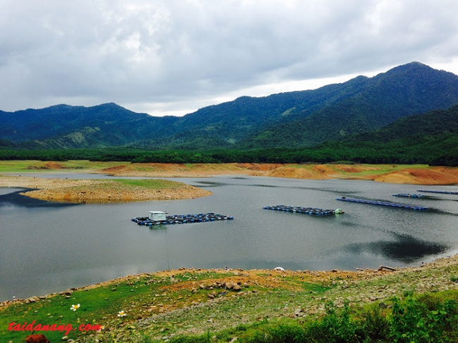 Hồ Hòa Trung – Bức Tranh Thủy Mặc Say Đắm Lòng Người