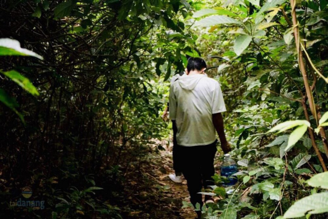 khám phá làng vân đà nẵng – ngôi làng nhỏ hoang sơ và mộc mạc