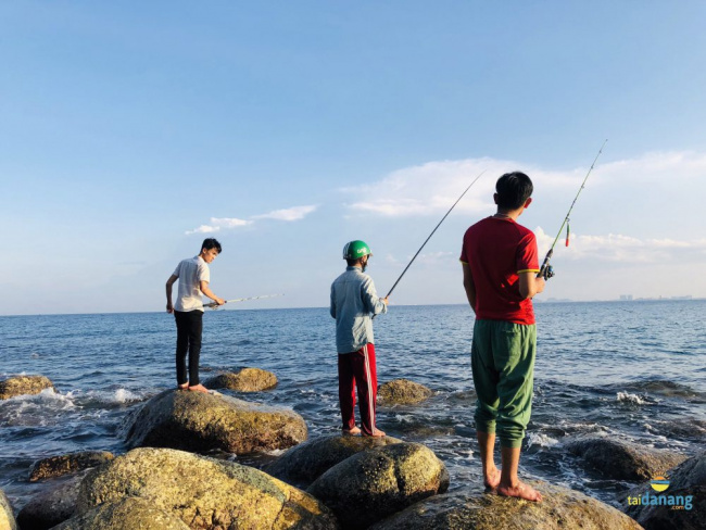 trải nghiệm câu cá tại bãi rạng – đà nẵng