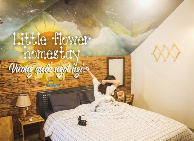 little flower homestay – vương quốc ngọt ngào