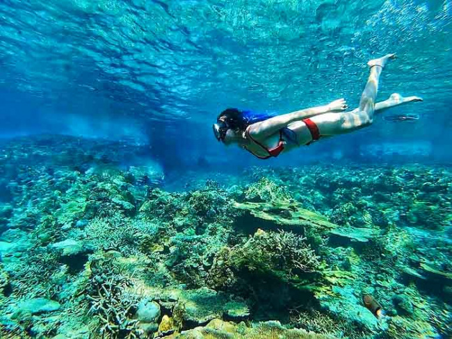 đảo phú quý – top 7 địa điểm tham quan đẹp nhất