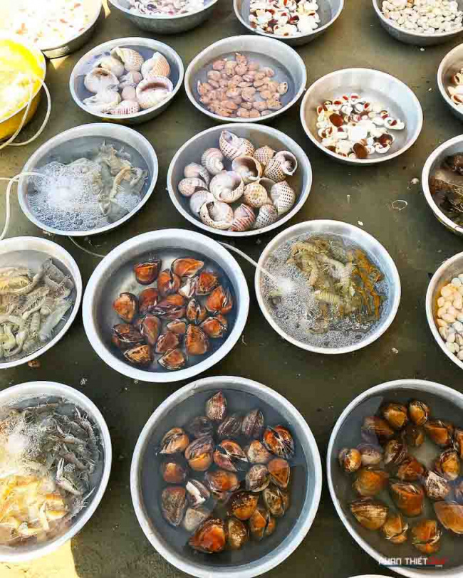 chợ hải sản mũi né – tươi ngon mát lành