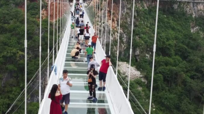 bach long glass bridge, moc chau, son la, bach long glass bridge welcomes 15,000 visitors