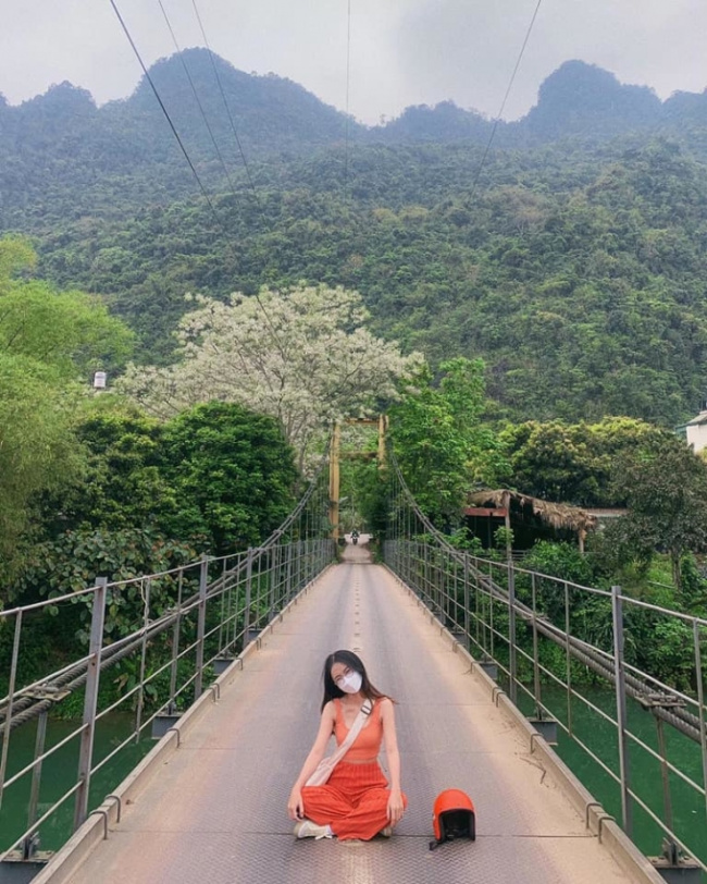 cao bang tourism, dong van, ha giang tourism, rice flower season, five days wandering ha giang – cao bang