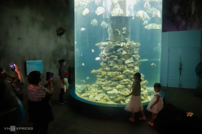 aquarium, aquarium institute, canh long mountain, nha trang, watch fish swim, aquarium in the tunnel through the mountain