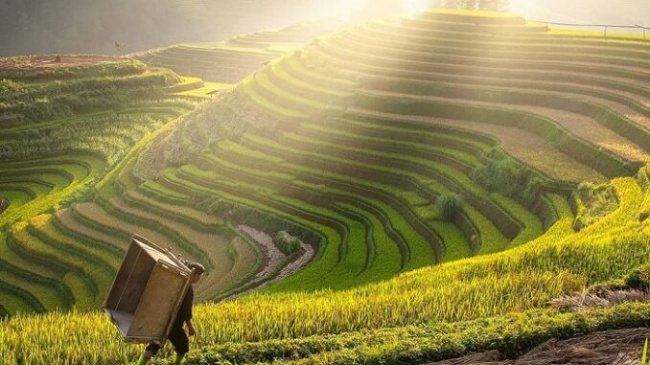 Discover La Pan Tan commune, get lost in the most beautiful ‘kingdom of terraced fields’ in the Northwest