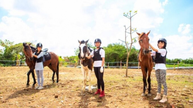 Three destinations for equestrian enthusiasts in Ho Chi Minh City