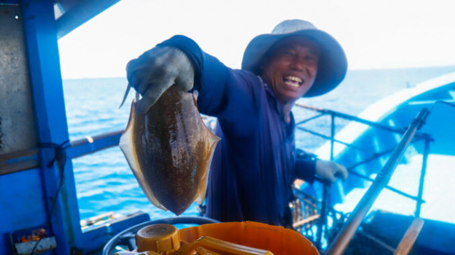Squid trap in Nha Trang Bay
