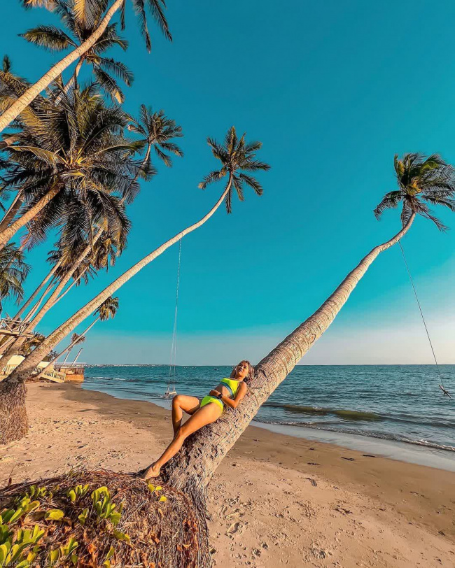 cây dừa nghiêng ra biển mũi né