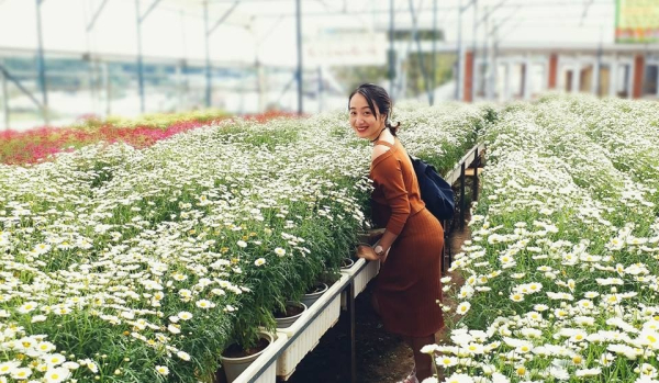 top 10 vườn hoa đà lạt xịn sò cho con dân sống ảo cực đẹp