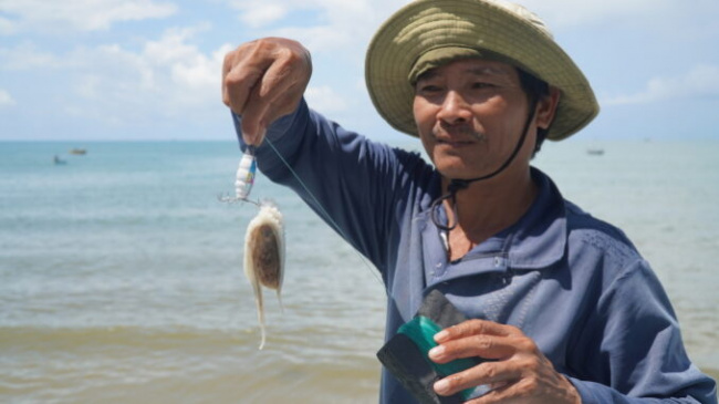 Phan Thiet in octopus fishing season