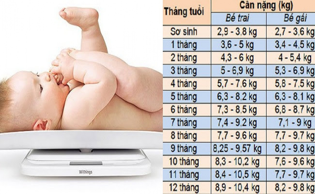 bảng chuẩn chiều cao, cân nặng, lượng sữa cho bú, giấc ngủ của trẻ 0-12 tháng tuổi