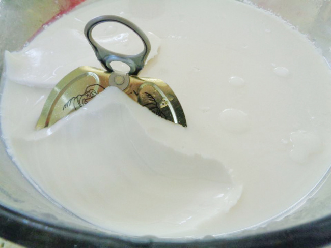 cách làm tào phớ bằng gelatine đơn giản