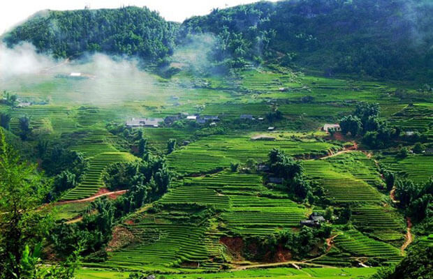 dai yem waterfall, ethnic minorities, flower fields, ham rong mountain, northwest, o quy ho pass, terraced fields, tourism, tourism development, the poetic and majestic places in the northwest are attracting tourists this may.