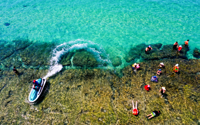 hai giang, merryland quy nhon, quy nhon tourism, photo hunting ‘weed season’ on hai giang peninsula