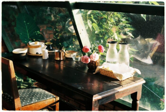 vườn nhà đà lạt, vườn nhà coffee đà lạt, [vườn nhà coffee đà lạt] nơi thả hồn vào bình yên, [vườn nhà coffee đà lạt] nơi thả hồn vào bình yên