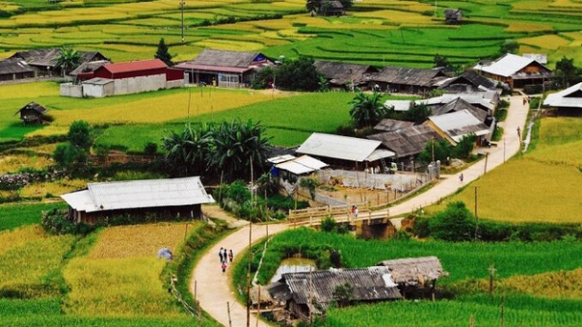 Who comes to Yen Bai to see: Lim Thai village is small but beautiful!