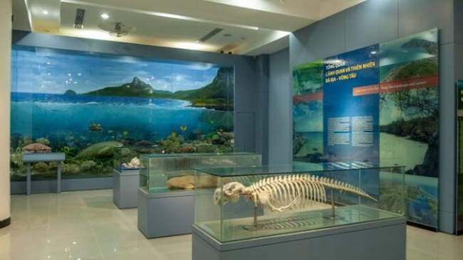 Experience visiting Vung Tau museum in detail