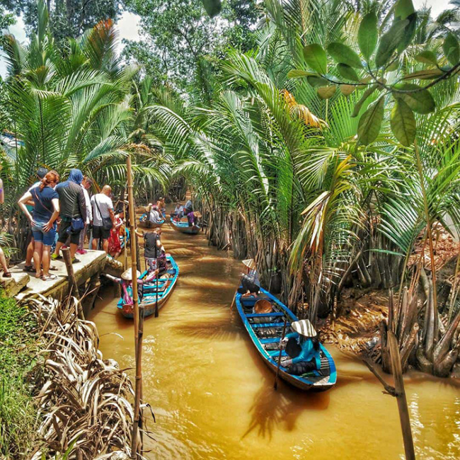 ben tre tourism, con phung tourist area, tourist attractions in ben tre, western tourist destination, 7 beautiful check-in points in ben tre attract tourists from all over the world